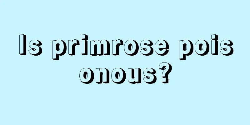 Is primrose poisonous?