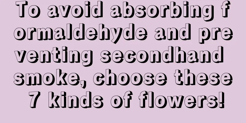 To avoid absorbing formaldehyde and preventing secondhand smoke, choose these 7 kinds of flowers!