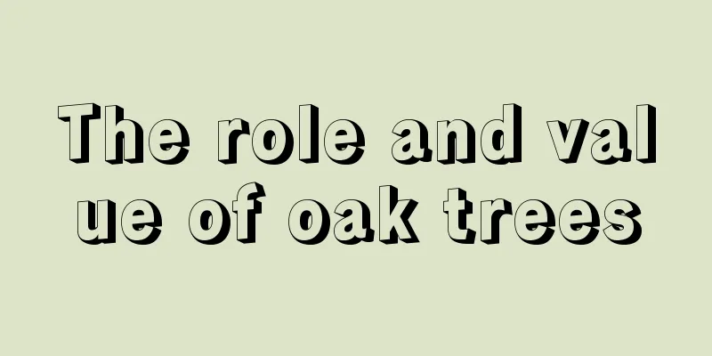 The role and value of oak trees