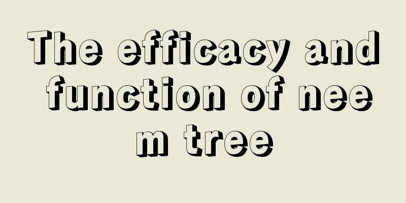 The efficacy and function of neem tree