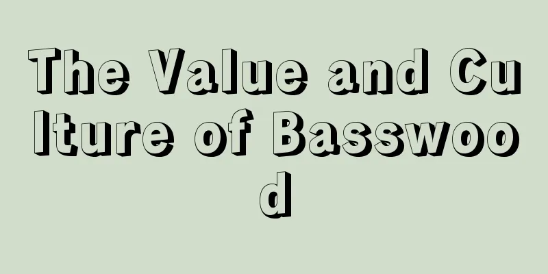 The Value and Culture of Basswood