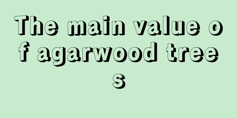 The main value of agarwood trees