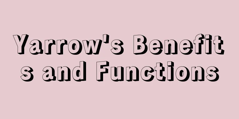 Yarrow's Benefits and Functions