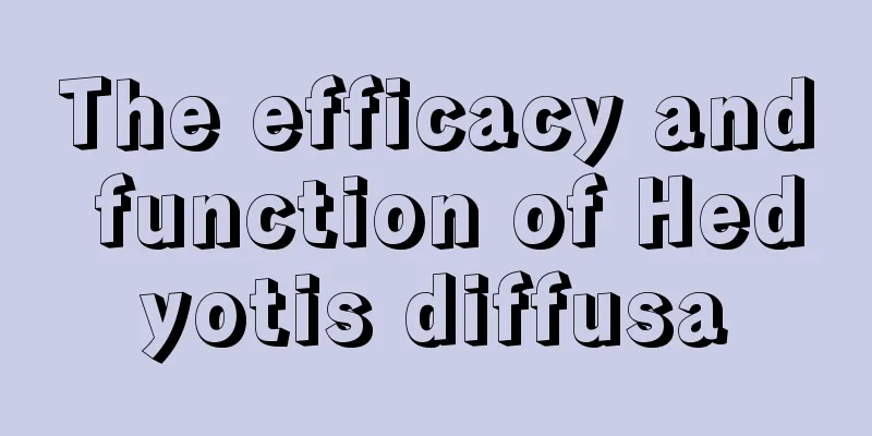 The efficacy and function of Hedyotis diffusa