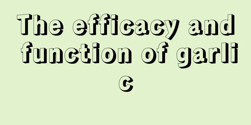 The efficacy and function of garlic