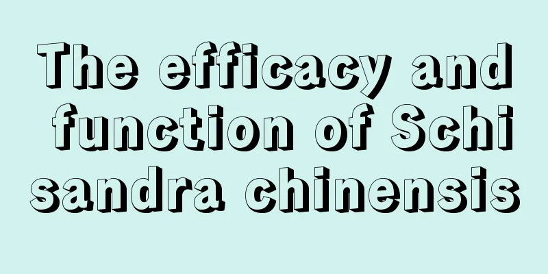 The efficacy and function of Schisandra chinensis