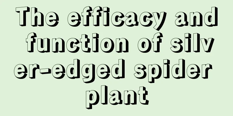 The efficacy and function of silver-edged spider plant