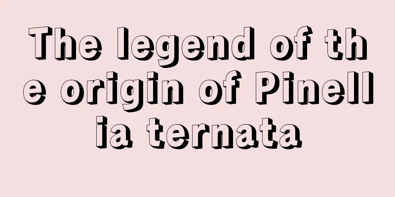 The legend of the origin of Pinellia ternata