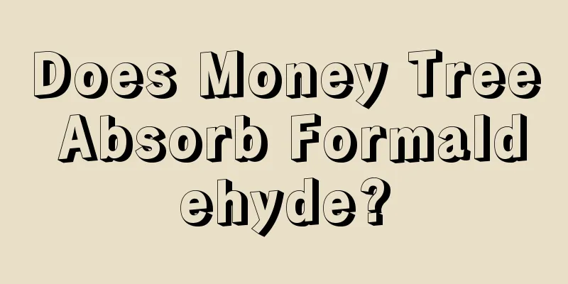 Does Money Tree Absorb Formaldehyde?