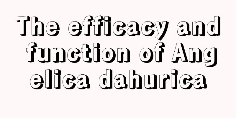 The efficacy and function of Angelica dahurica