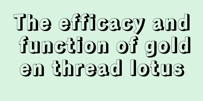 The efficacy and function of golden thread lotus