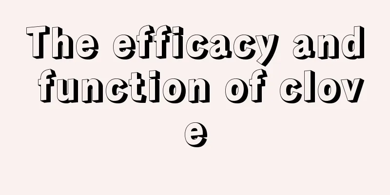 The efficacy and function of clove