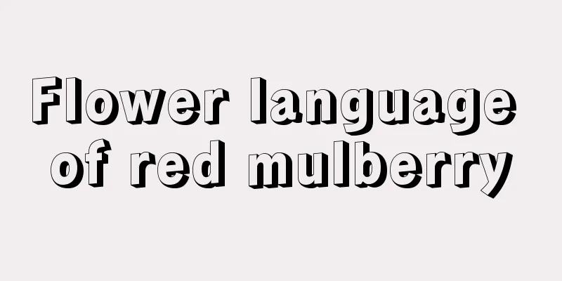 Flower language of red mulberry