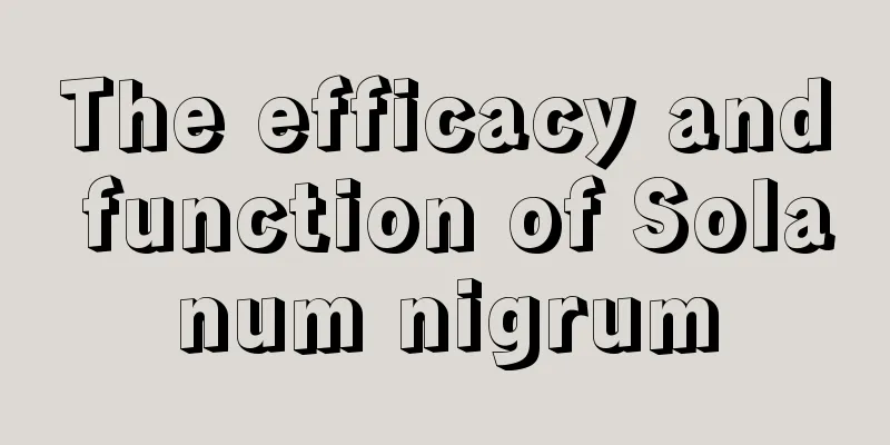 The efficacy and function of Solanum nigrum