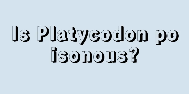 Is Platycodon poisonous?