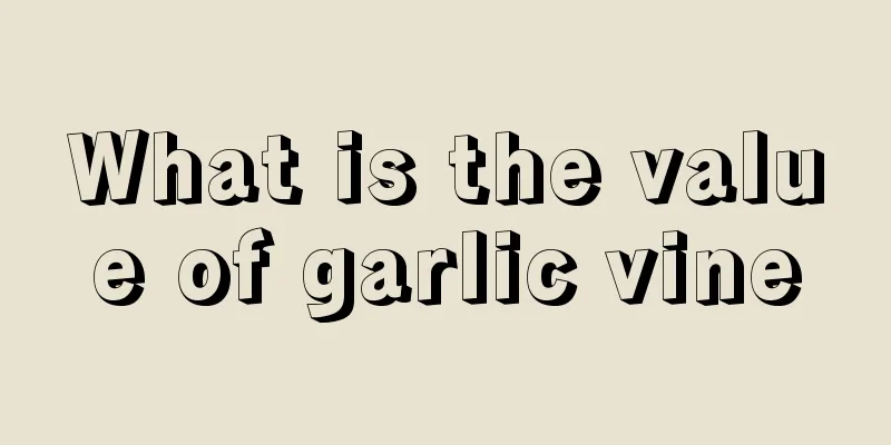 What is the value of garlic vine