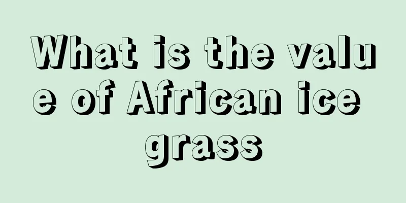 What is the value of African ice grass