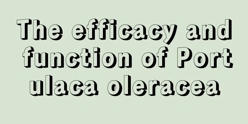 The efficacy and function of Portulaca oleracea