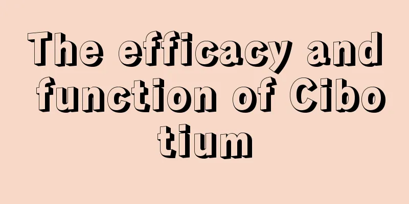 The efficacy and function of Cibotium