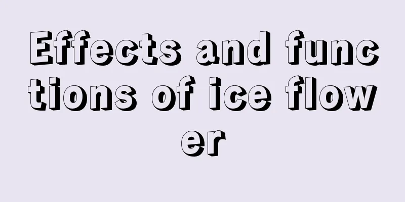 Effects and functions of ice flower