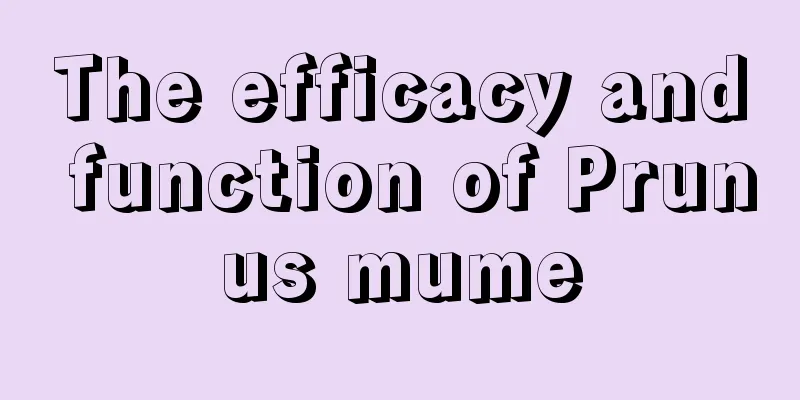 The efficacy and function of Prunus mume