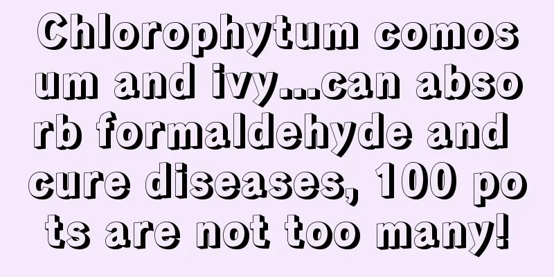 Chlorophytum comosum and ivy...can absorb formaldehyde and cure diseases, 100 pots are not too many!