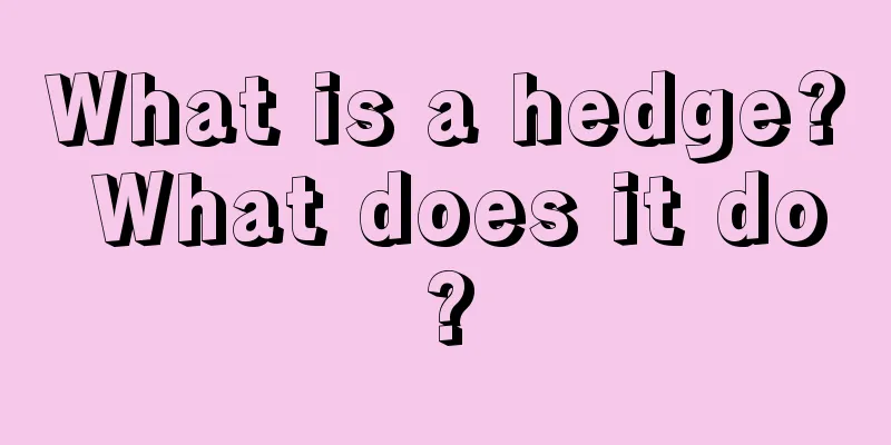 What is a hedge? What does it do?