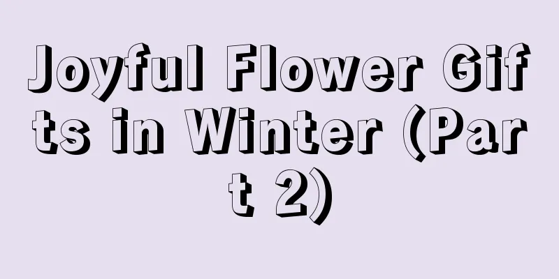 Joyful Flower Gifts in Winter (Part 2)