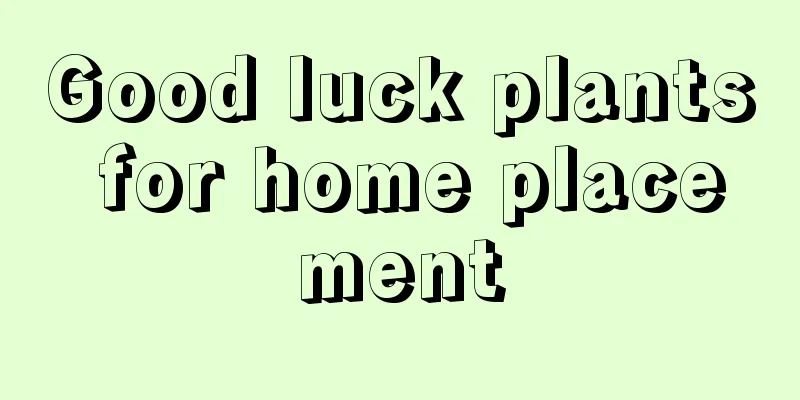 Good luck plants for home placement