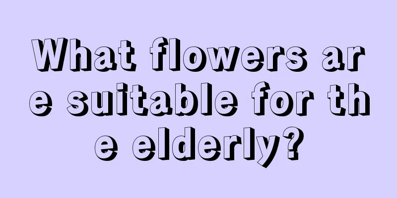 What flowers are suitable for the elderly?