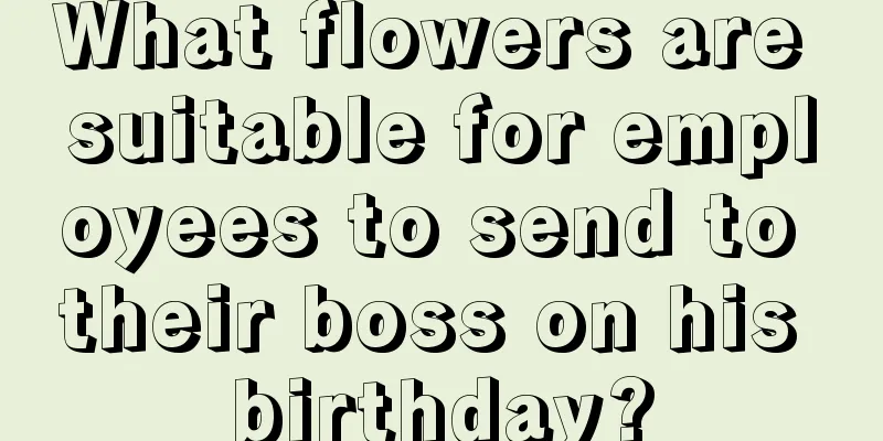 What flowers are suitable for employees to send to their boss on his birthday?