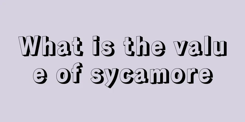 What is the value of sycamore