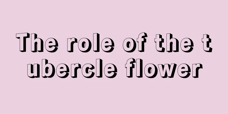 The role of the tubercle flower