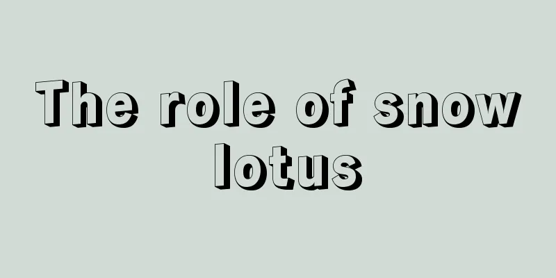 The role of snow lotus