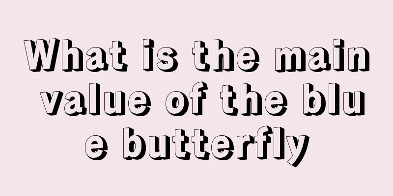 What is the main value of the blue butterfly