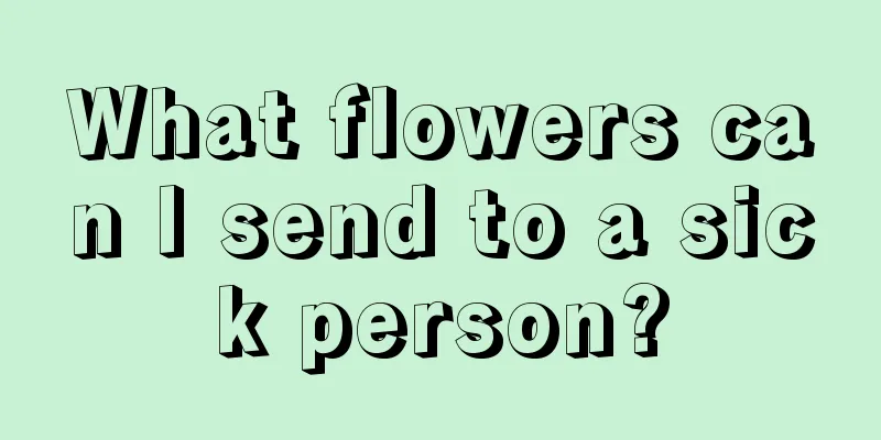 What flowers can I send to a sick person?