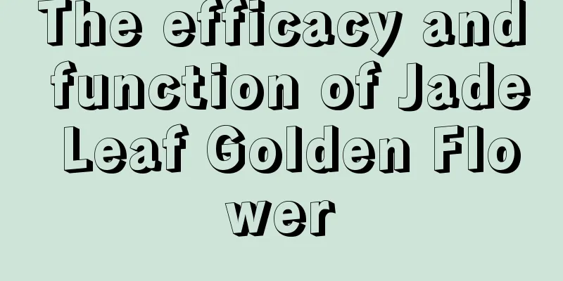 The efficacy and function of Jade Leaf Golden Flower