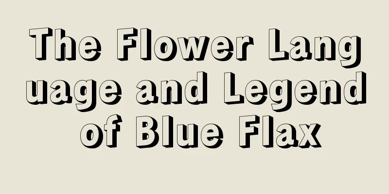 The Flower Language and Legend of Blue Flax