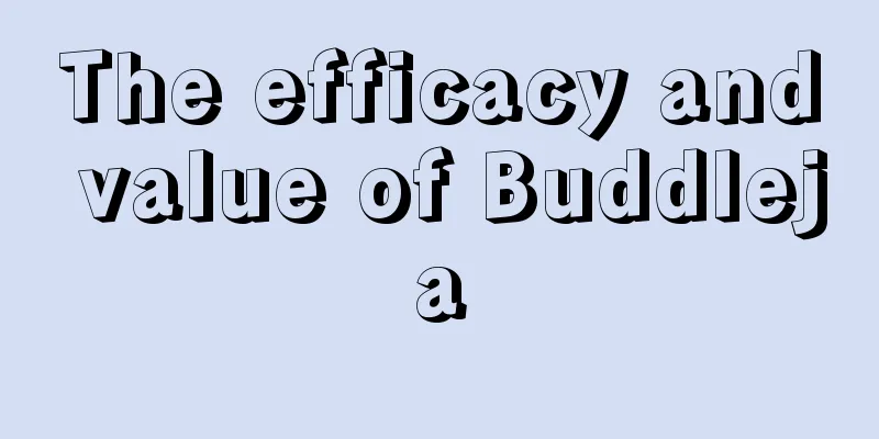 The efficacy and value of Buddleja