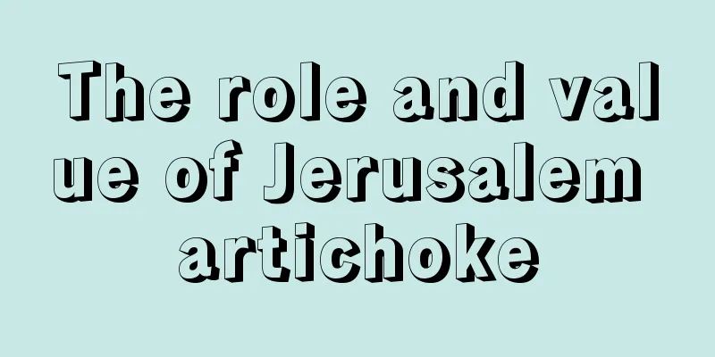 The role and value of Jerusalem artichoke