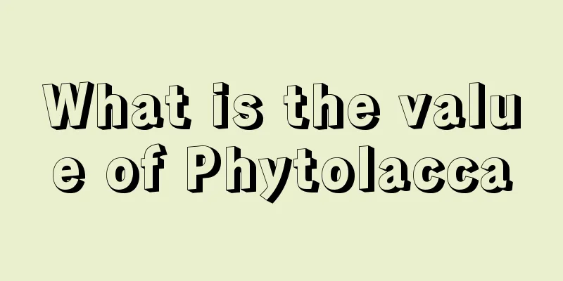 What is the value of Phytolacca