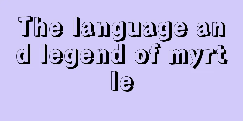 The language and legend of myrtle