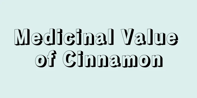 Medicinal Value of Cinnamon