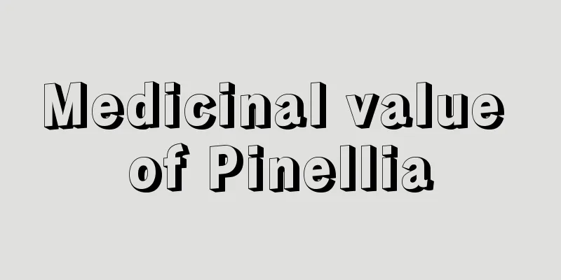 Medicinal value of Pinellia