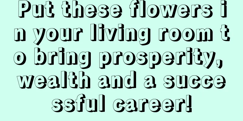 Put these flowers in your living room to bring prosperity, wealth and a successful career!