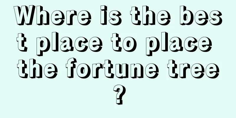 Where is the best place to place the fortune tree?