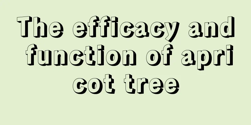 The efficacy and function of apricot tree