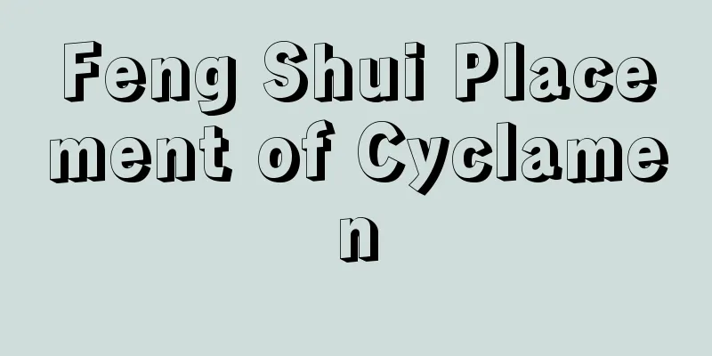 Feng Shui Placement of Cyclamen