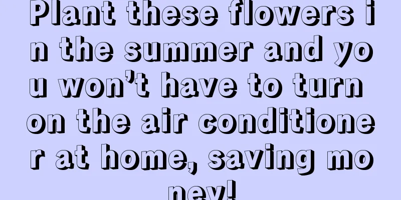 Plant these flowers in the summer and you won’t have to turn on the air conditioner at home, saving money!