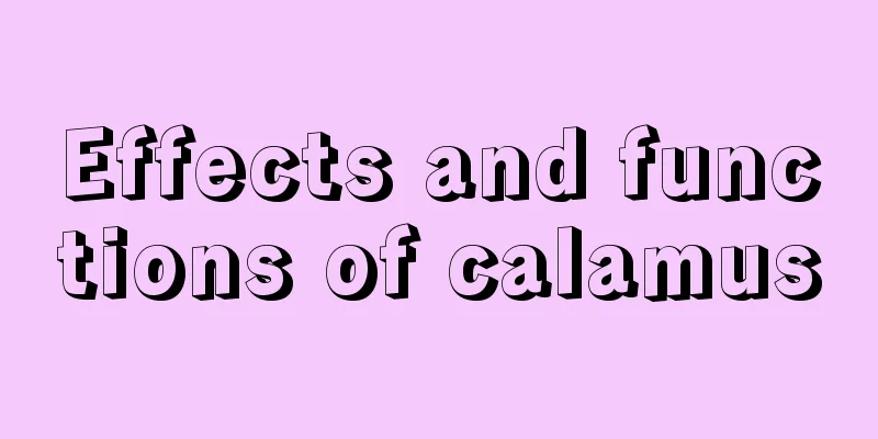 Effects and functions of calamus